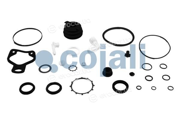Cojali 6034026