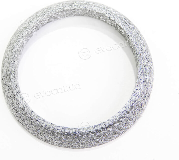 Elring 703.613