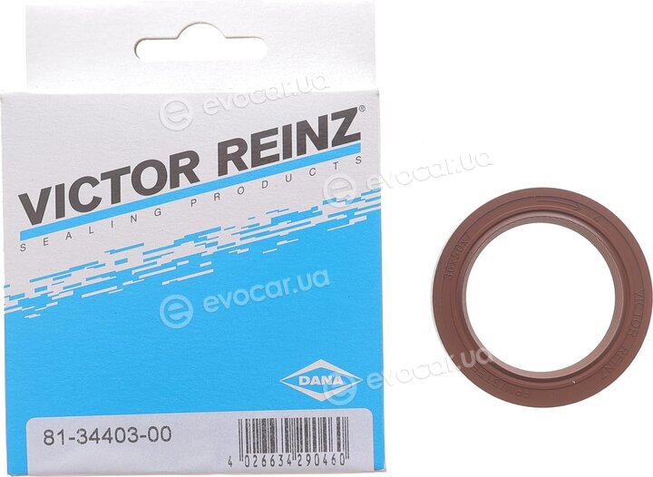 Victor Reinz 81-34403-00