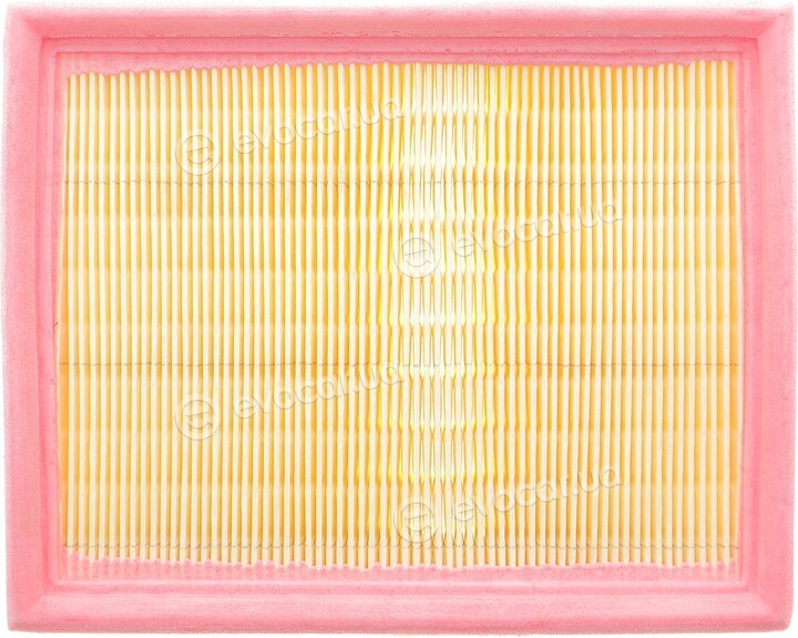Solgy 103146