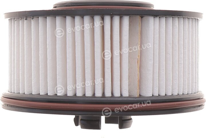 Mahle KX 591D
