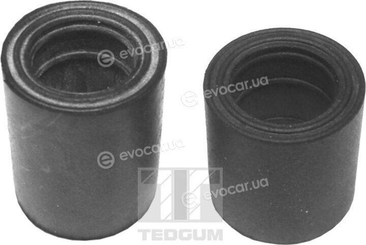Tedgum 00745061