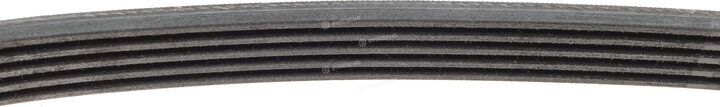 Continental 5PK628 ELAST