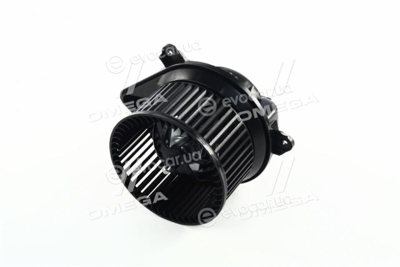 AVA OL8624