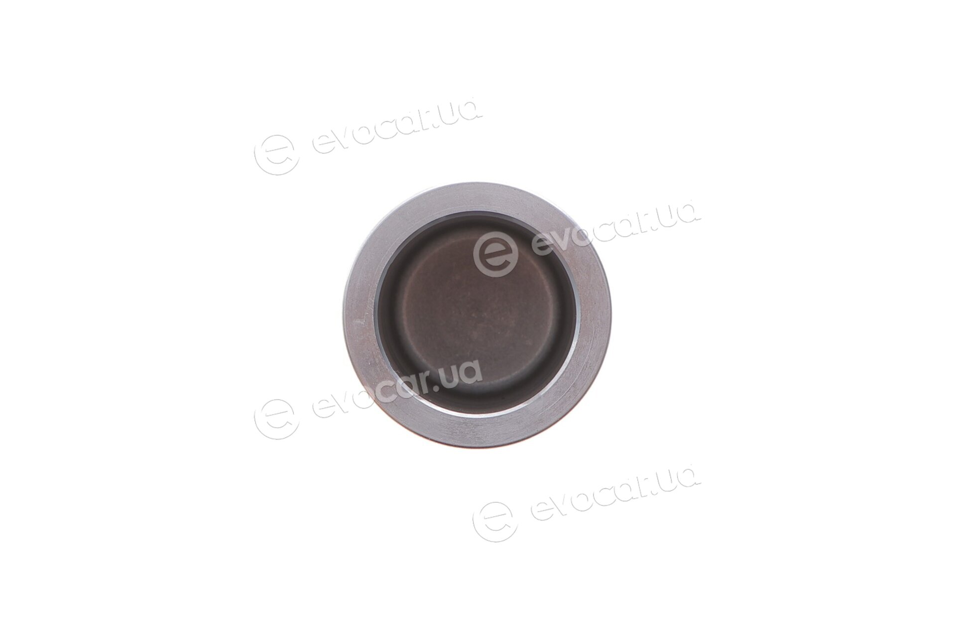 Frenkit P425204