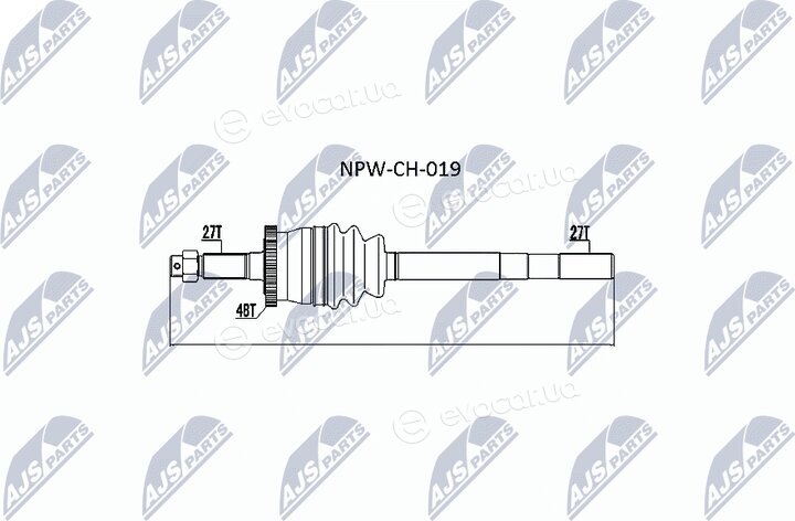 NTY NPW-CH-019