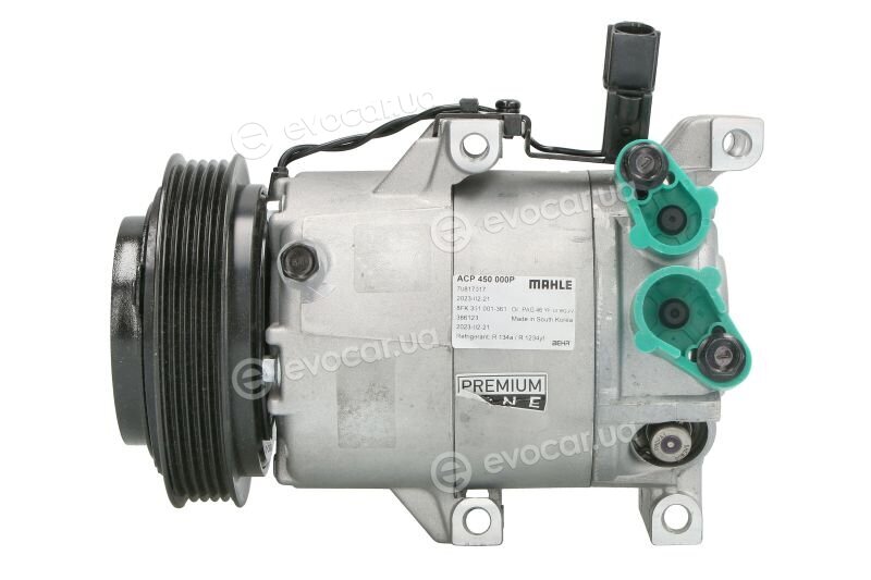 Mahle ACP 450 000P