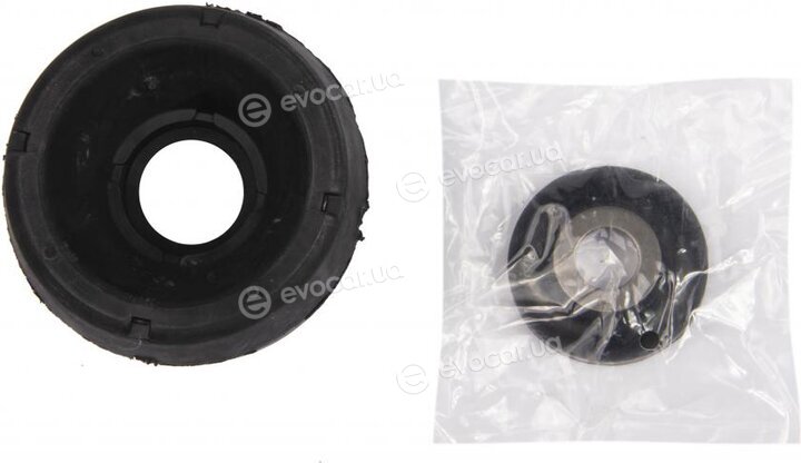 Raiso RC02270