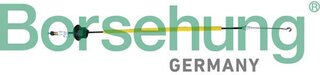 Borsehung B10793