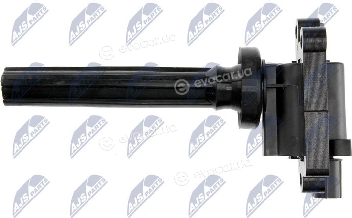 NTY ECZ-MS-001