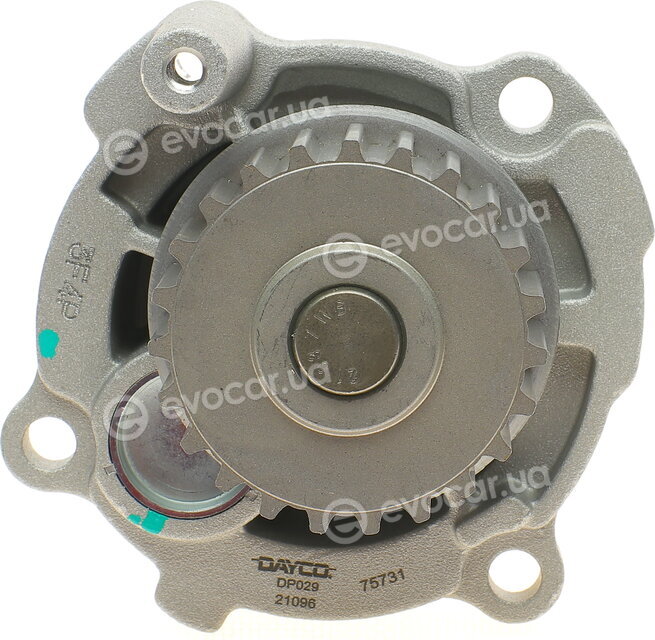 Dayco KTBWP2530