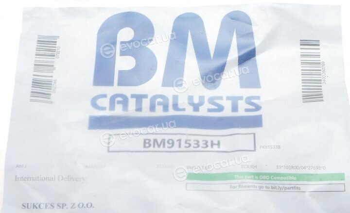 BM Catalysts BM91533H