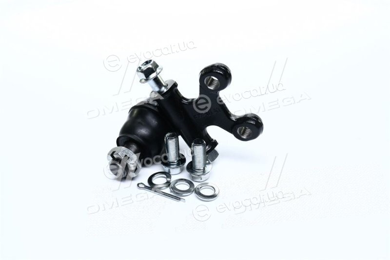 CTR CB0281
