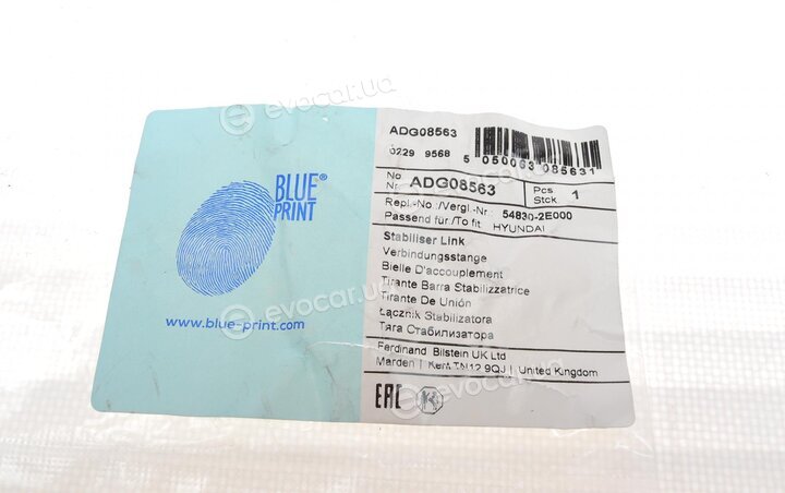 Blue Print ADG08563