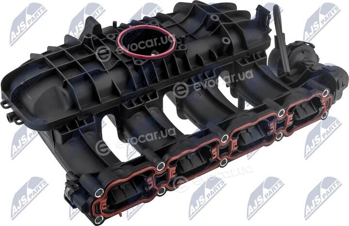 NTY BKS-VW-029
