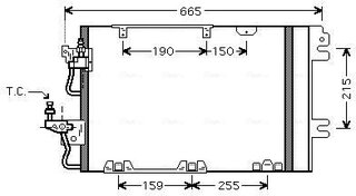 AVA OL5384D