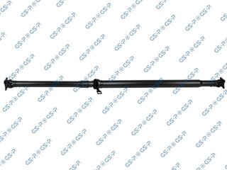 GSP PS900557