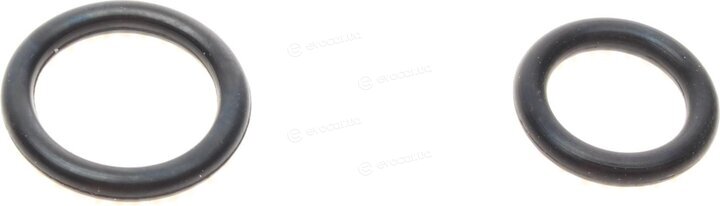 Frenkit 245944