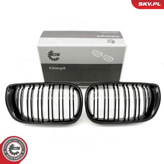 SKV 66SKV081