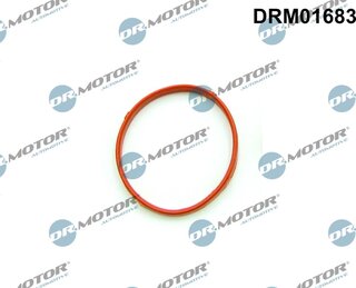 Dr. Motor DRM01683
