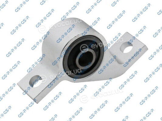 GSP 516685