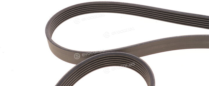 Continental 6PK2260K2
