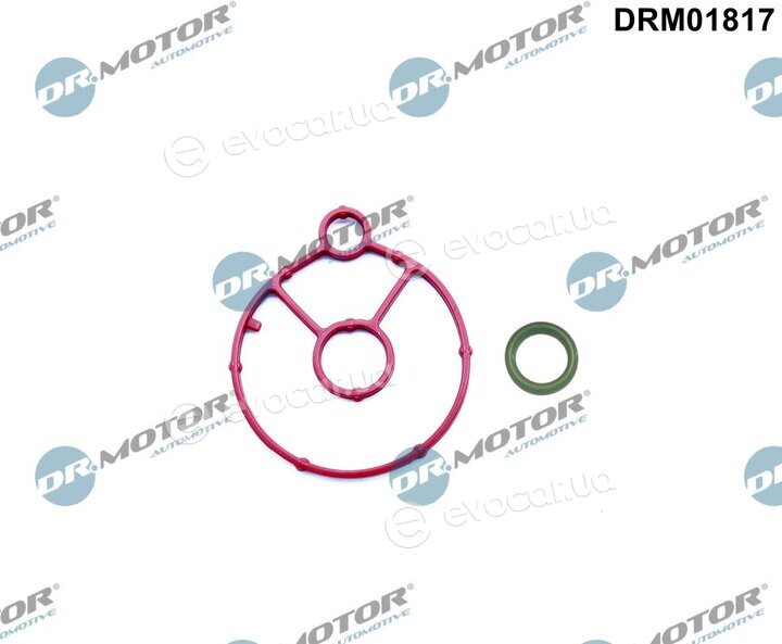 Dr. Motor DRM01817