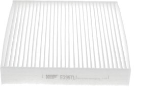 Hengst E2957LI