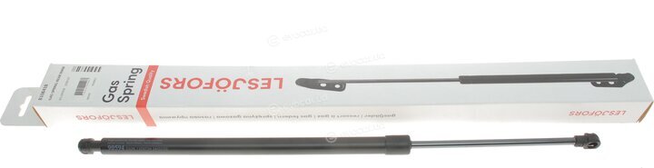 Lesjofors 8108418