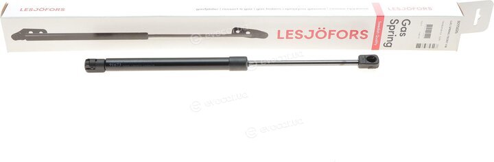 Lesjofors 8095026