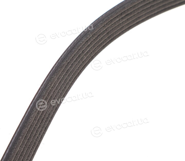 Dayco 6PK2576S