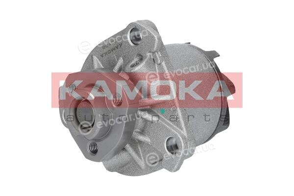 Kamoka T0138