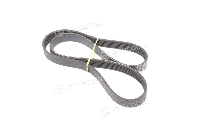 Gates 6PK1113