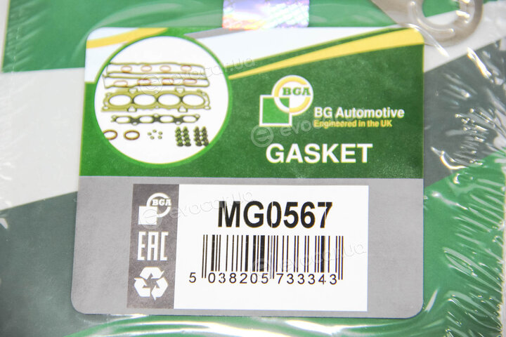 BGA MG0567