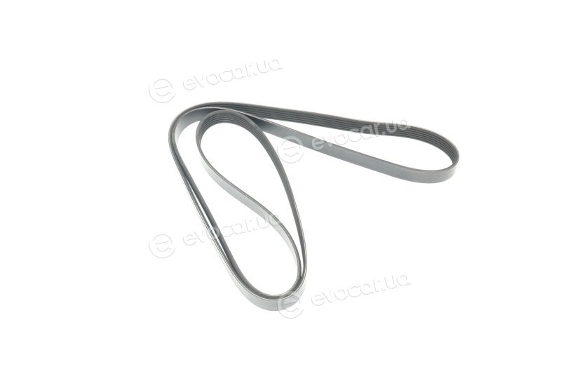 Dayco 6PK2095