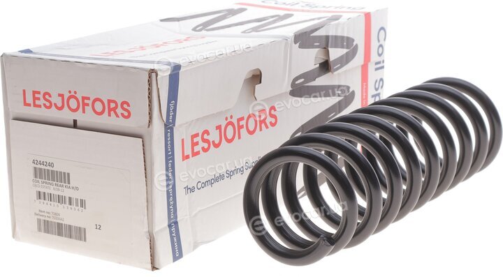Lesjofors 4244240
