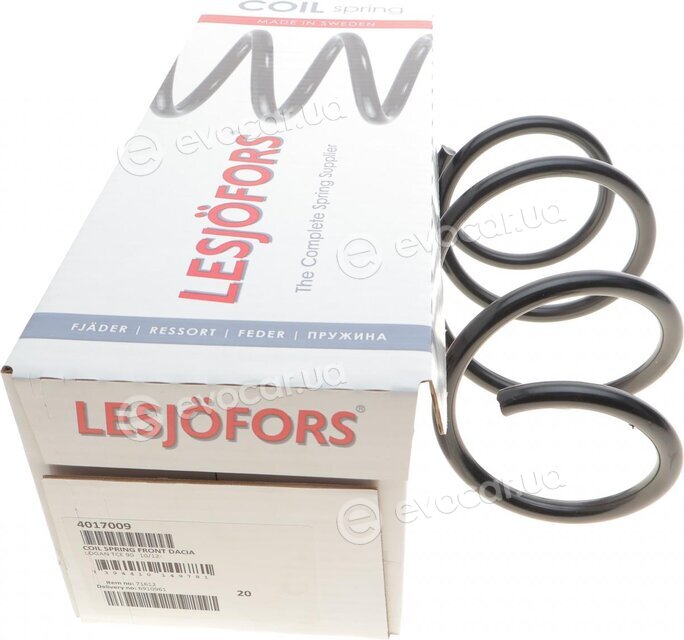 Lesjofors 4017009