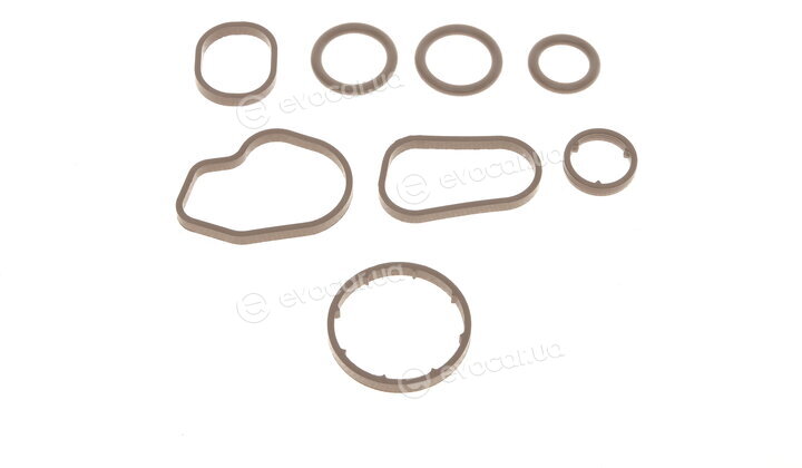 Solgy 112033