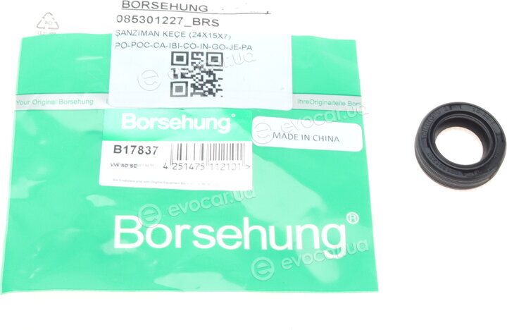 Borsehung B17837