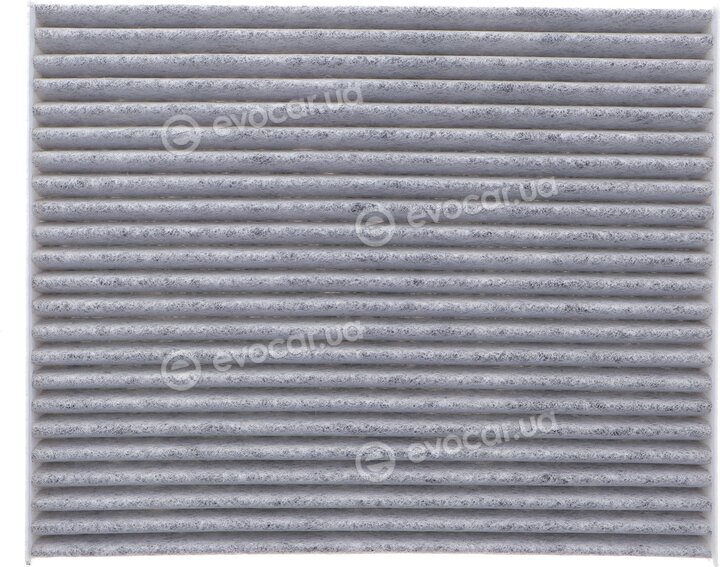 Solgy 104084