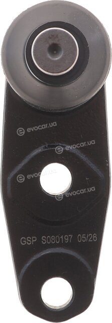 GSP S080197