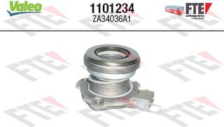 FTE 1101234
