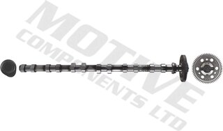 Motive T2137