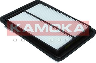 Kamoka F247601