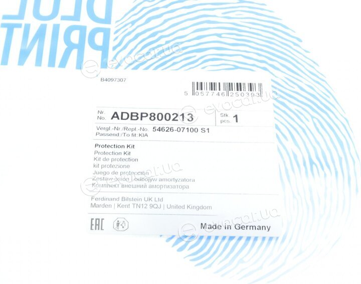 Blue Print ADBP800213