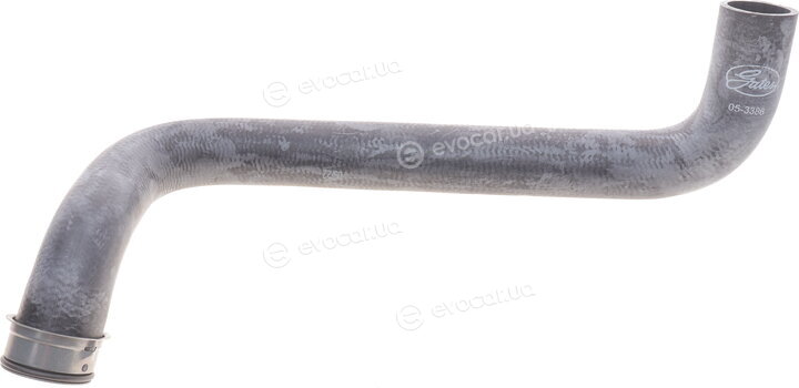 Gates 05-3386
