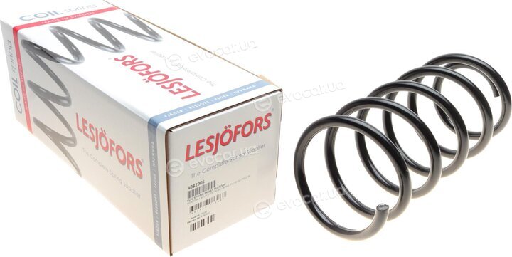 Lesjofors 4082905