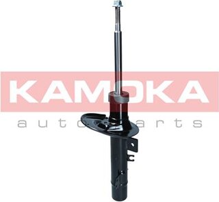 Kamoka 2001232