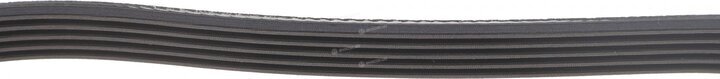 Dayco 5PK938