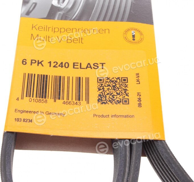 Continental 6PK1240 ELAST